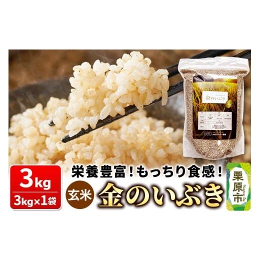 ふるさと納税 玄米 宮城県 栗原市 米 玄米 金のいぶき 3kg(3kg×1袋)