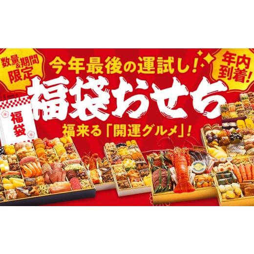 ふるさと納税 おせち 福岡県 田川市 12月29日着 福袋おせち 年内到着 期間限定 数量限定 福袋 おせち おせち料理 お正月 冷凍おせち 年末配送 お節 御節 冷凍…