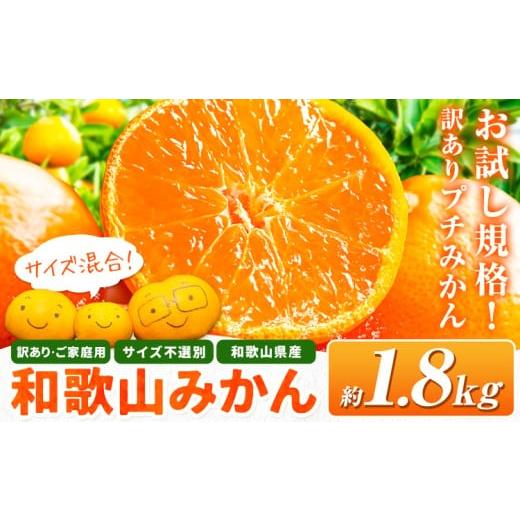 ふるさと納税 果物類 みかん 和歌山県 日高川町 限定お試し規格 訳あり プチみかん 和歌山・日高川育ちの 訳あり 濃厚小玉みかん(ピンポン玉くらいの大きさで…