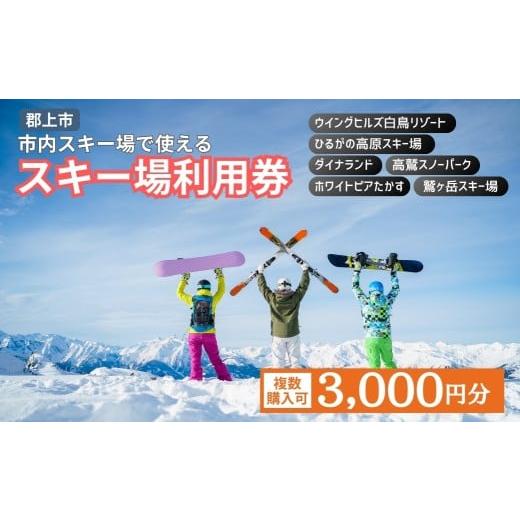ふるさと納税 スキーチケット 岐阜県 郡上市 最速発送 岐阜県郡上市 市内スキー場利用券 3000円分 2025-2026 スキー スノーボード 高鷲・白鳥エリア利用可 ダ…