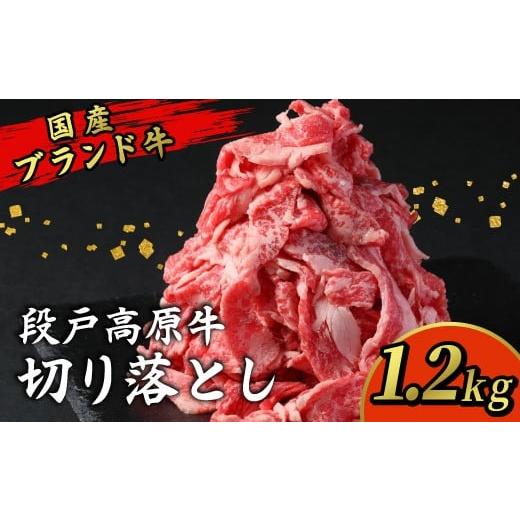 ふるさと納税 牛肉 炒め物 愛知県 設楽町 12月発送限定の 期間限定特別規格 国産ブランド牛 切り落とし 1.2Kg (200g×6) 小分け 段戸山高原牛 幻 牛 国産 …