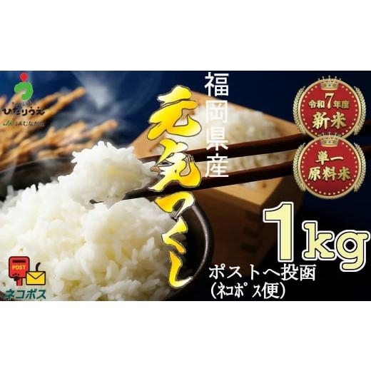 ふるさと納税 米 ヒノヒカリ 福岡県 福津市 令和7年産米 JAよりお届け 福岡県ブランド米「元気つくし」 1kg