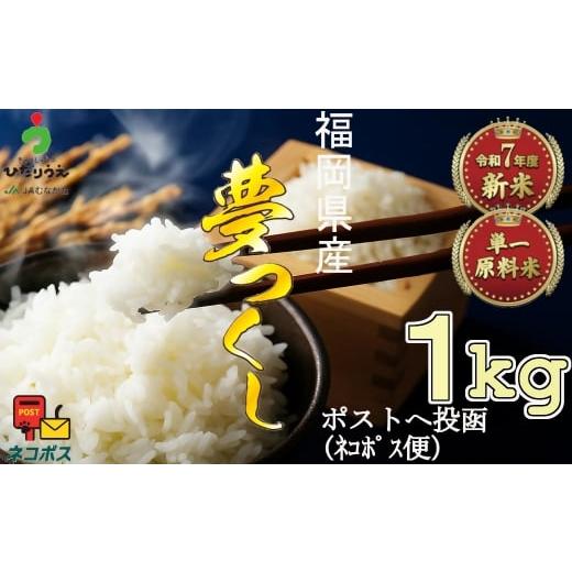 ふるさと納税 米 福岡県 福津市 令和7年産米 JAよりお届け 福岡県ブランド米「夢つくし」 1kg