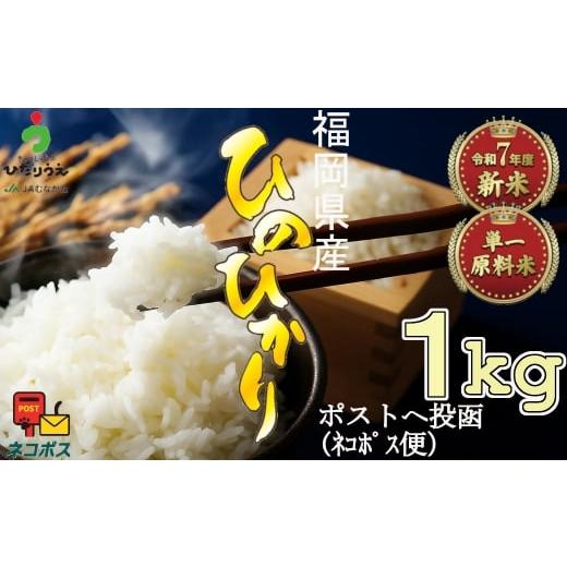 ふるさと納税 米 ヒノヒカリ 福岡県 福津市 令和7年産米 JAよりお届け 「ひのひかり」 1kg