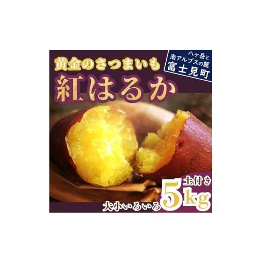 ふるさと納税 野菜類 サツマイモ 長野県 富士見町 黄金のさつまいも 紅はるか 5kg 産地直送 送料無料 サツマイモ さつまいも 薩摩芋 芋 土付き サイズ 色々 不…