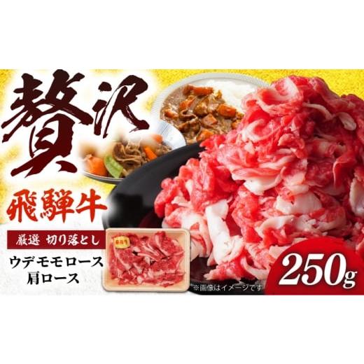 ふるさと納税 牛肉 岐阜県 岐阜市 飛騨牛 厳選切り落とし250g(ウデ モモ ロース 肩ロース)(冷凍) 牛肉 肉 ブランド肉 岐阜市 / 羊Diningひとみしり ANIF0…
