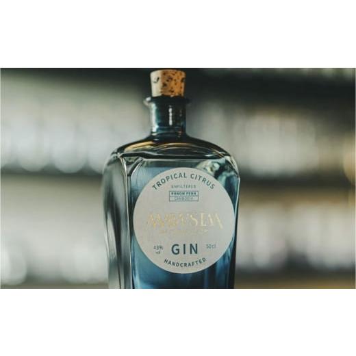 ふるさと納税 お酒 洋酒 岐阜県 岐阜市 MAWSIM GIN TROPICAL CITRUSMAWSIM (マウシム ジン トロピカルシトラス) 酒 ジン 蒸留酒 岐阜市 / 株式会社サンウエ…