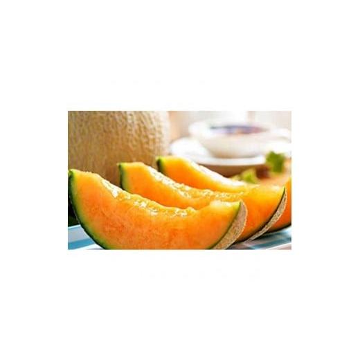 ふるさと納税 メロン メロン赤肉 北海道 上川町 2026年夏発送 岸田農園産 北海道メロン 1玉入り(サイズ:1.8kg以上) 果物 メロン フルーツ 北海道 上川町 岸田…