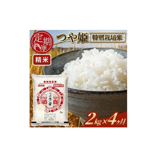 ふるさと納税 米 つや姫 山形県 酒田市 4回定期便 令和7年産 [精米]特別栽培米つや姫 2kg×4回(計8kg)