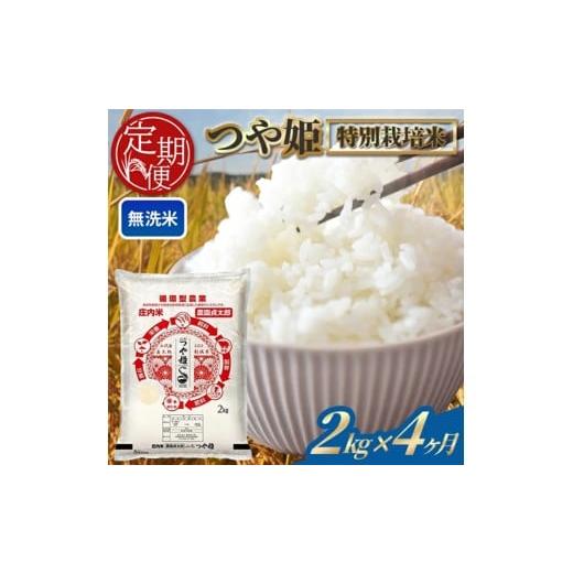 ふるさと納税 無洗米 山形県 酒田市 4ヶ月定期便 無洗米 特別栽培米 つや姫 2kg×4ヶ月連続 計8kg 令和7年産 山形県産 毎月下旬にお届け 白米 庄内米 米 ごは…