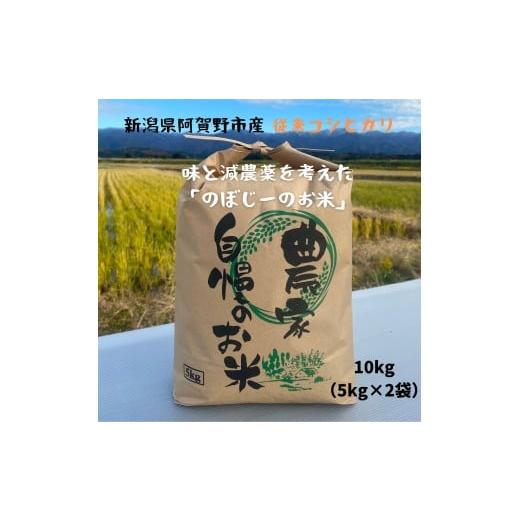ふるさと納税 米 コシヒカリ 新潟県 阿賀野市 令和7年産新米 味と減農薬を考えた「のぼじーのお米」従来コシヒカリ 10kg (5kg×2袋) 精米 白米 3J03033