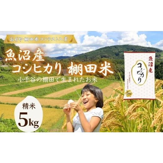 ふるさと納税 米 コシヒカリ 新潟県 小千谷市 令和7年産 魚沼産コシヒカリ おぢや棚田米コンテスト入賞者の栽培した棚田米 精米5kg(5kg×1袋)| 新潟県産 コ…