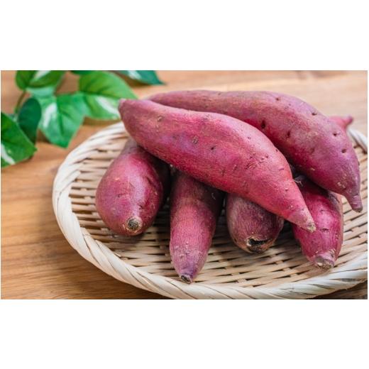 ふるさと納税 野菜類 サツマイモ 宮城県 美里町  予約受付 甘くてしっとり さつまいも(紅はるか) 10kg 11月頃より順次発送予定 ／ さつまいも 芋 お芋 紅はる…の画像