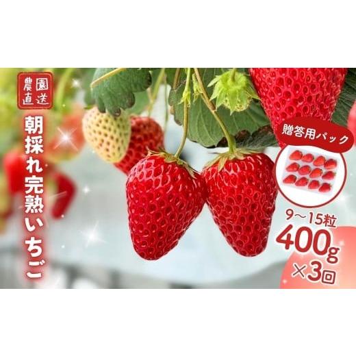 ふるさと納税 いちご 岡山県 西粟倉村 3回定期便 西粟倉村の完熟いちご 贈答用 400g M