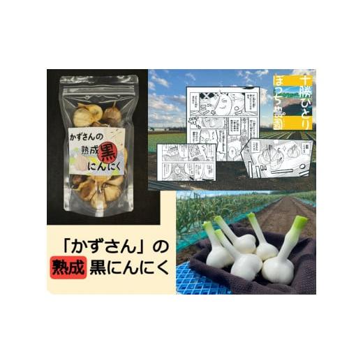 ふるさと納税 野菜類 北海道 中札内村 『十勝ひとりぼっち農園』でおなじみ スゴ腕農家「かずさん」の熟成黒にんにく220g