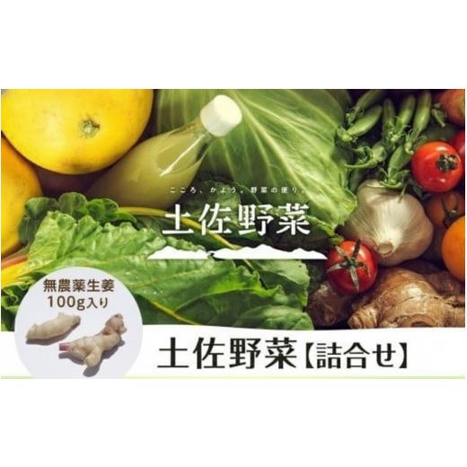 ふるさと納税 セット・詰合せ 高知県 南国市 土佐野菜 野菜の詰め合わせと無農薬生姜100g付き | 野菜セット セット しょうが 生姜 新鮮 野菜 人気 おすすめ …