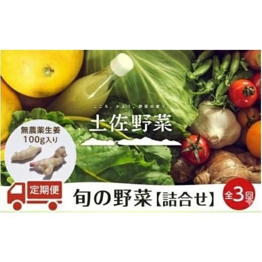 ふるさと納税 セット・詰合せ 高知県 南国市 『定期便 全3回』無農薬生姜100gと旬の野菜の詰め合わせ 土佐野菜 | 野菜セット セット 新鮮 野菜 毎月 野菜定期…