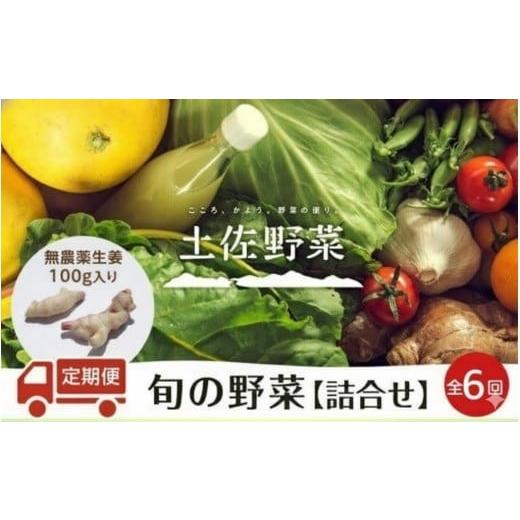 ふるさと納税 セット・詰合せ 高知県 南国市 『定期便 全6回』無農薬生姜100gと旬の野菜の詰め合わせ 土佐野菜 | 野菜セット セット 野菜定期便 新鮮 野菜 毎…