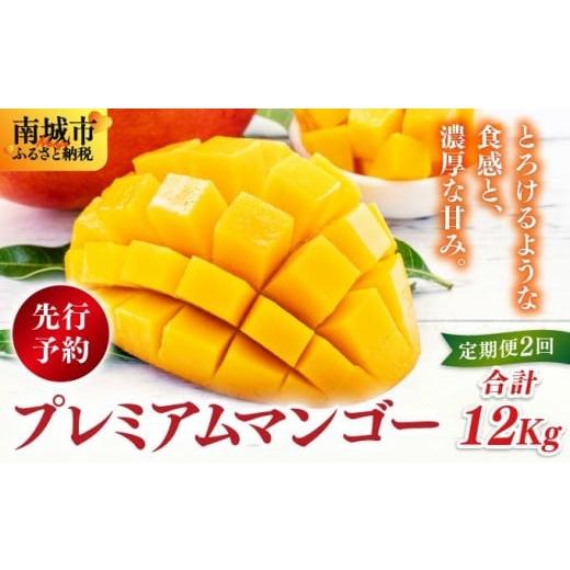 ふるさと納税 マンゴー 沖縄県 南城市 先行予約 アップルマンゴー12kg 2回に分けて発送