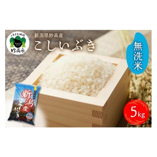 ふるさと納税 無洗米 新潟県 妙高市 2026年1月下旬発送 令和7年産 新潟県妙高産こしいぶき5kg 無洗米 2026年1月下旬発送