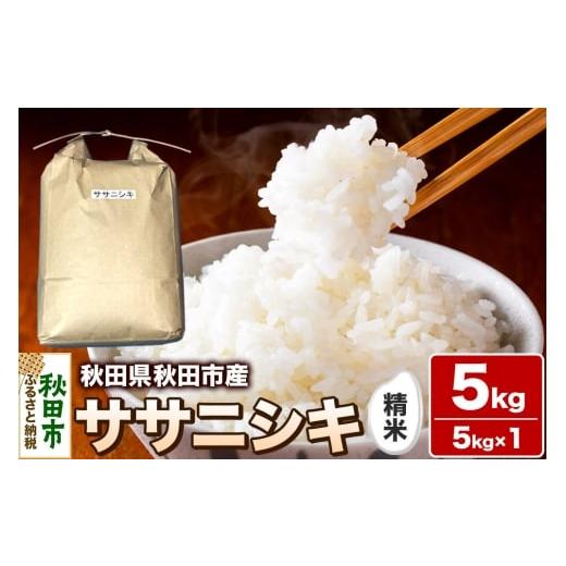 ふるさと納税 米 ササニシキ 秋田県 秋田市 令和7年産 秋田県 秋田市産 ササニシキ 精米 5kg 白米 米