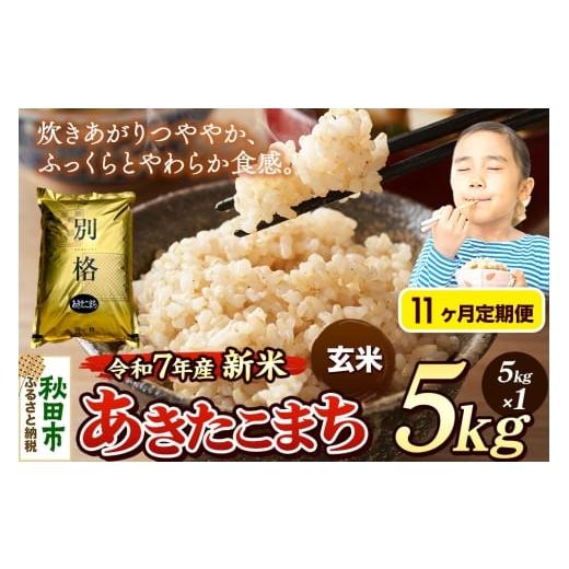 ふるさと納税 米 あきたこまち 秋田県 秋田市 [令和7年産 新米][定期便11ヶ月] 米 あきたこまち 5kg 玄米 秋田県産