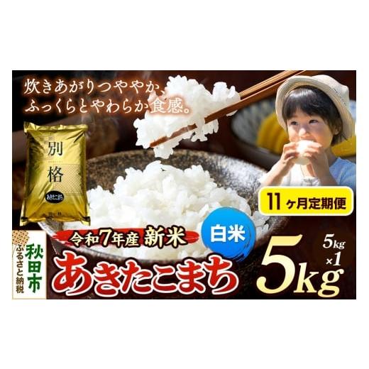 ふるさと納税 米 あきたこまち 秋田県 秋田市 [令和7年産 新米][定期便11ヶ月] 米 あきたこまち 5kg 白米 秋田県産