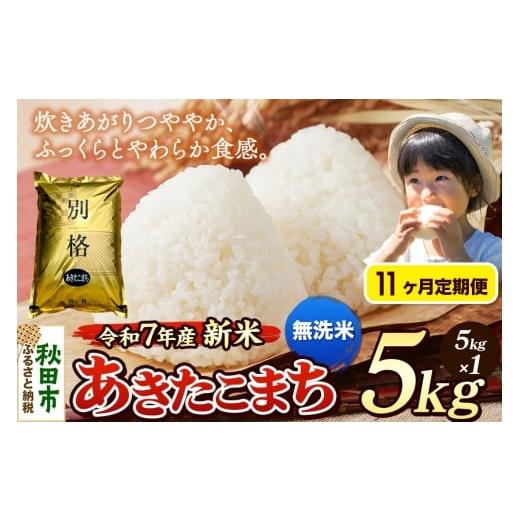 ふるさと納税 米 あきたこまち 秋田県 秋田市 [令和7年産 新米][定期便11ヶ月] 米 あきたこまち 5kg 無洗米 秋田県産