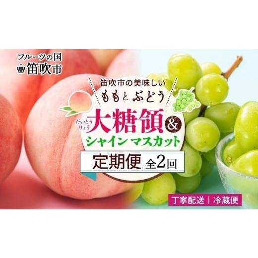 ふるさと納税 もも 山梨県 笛吹市 2026年発送 先行予約 定期便全2回 桃 秀品 1.5kg 大糖領 シャインマスカット 1房 600g クール便 もも 桃 マスカット ぶどう…
