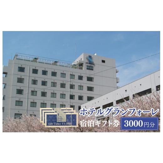 ふるさと納税 イベントやチケット等 愛媛県 四国中央市 ホテルグランフォーレ 宿泊ギフト券 3000円分 宿泊ギフト券 3000円分