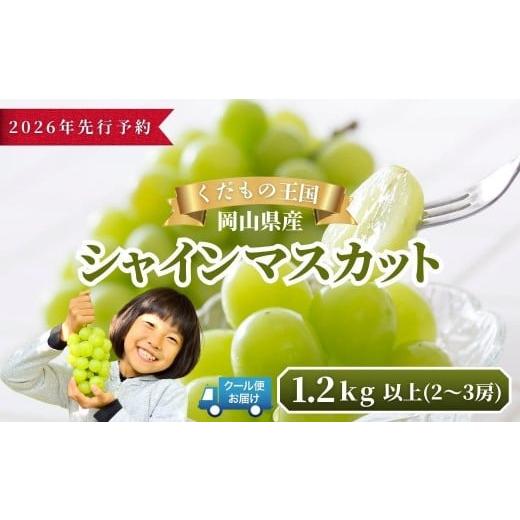 ふるさと納税 ぶどう マスカット 岡山県 鏡野町 2026年発送分 先行予約 岡山県産 シャインマスカット 1.2kg以上(2〜3房) ご家庭用 025-a035 1.2kg以上(2〜…