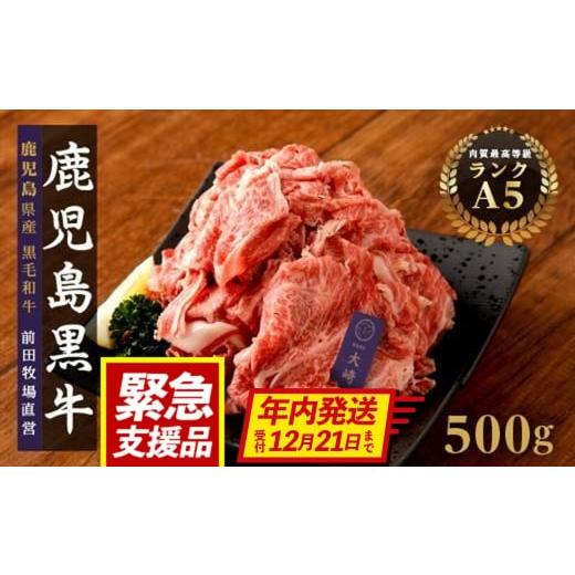 ふるさと納税 牛肉 セット 鹿児島県 大崎町 年内発送 訳あり 鹿児島県産黒毛和牛切り落とし