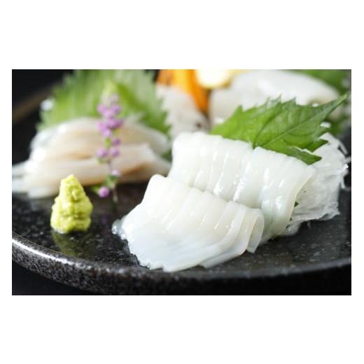 ふるさと納税 イカ 青森県 むつ市 青森県産スルメイカ刺身240g(120g×2P)