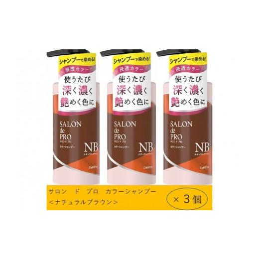 ふるさと納税 美容 愛知県 稲沢市 ダリヤ サロン ド プロ カラーシャンプー&トリートメント ナチュラルブラウン 各3個セット ナチュラルブラウン