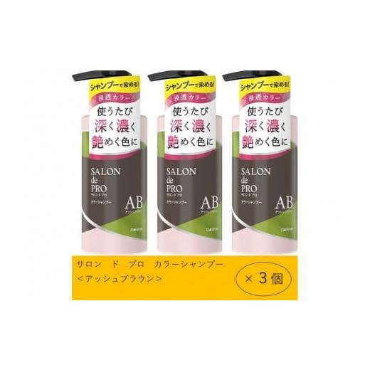 ふるさと納税 美容 愛知県 稲沢市 ダリヤ サロン ド プロ カラーシャンプー&トリートメント アッシュブラウン 各3個セット アッシュブラウン