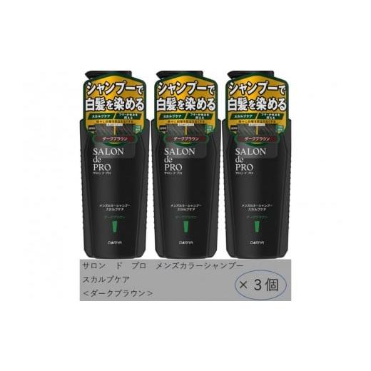 ふるさと納税 美容 愛知県 稲沢市 ダリヤ サロン ド プロ メンズカラーシャンプー&カラートリートメント ダークブラウン 各3個セット ダークブラウン