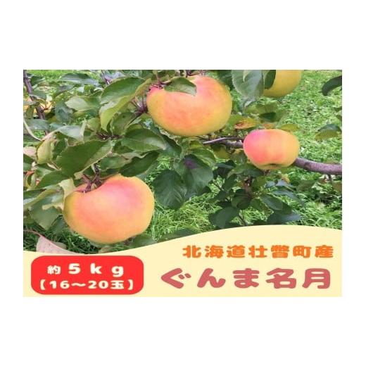 ふるさと納税 りんご 北海道 壮瞥町 ファームアグリエイトのりんご「ぐんま名月」 約5kg(16〜20玉) ふるさと納税 人気 おすすめ ランキング 北海道 壮瞥 り…