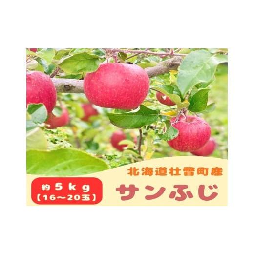 ふるさと納税 りんご 北海道 壮瞥町 ファームアグリエイトのりんご「サンふじ」約5kg(16〜20玉) ふるさと納税 人気 おすすめ ランキング 北海道 壮瞥 りんご…