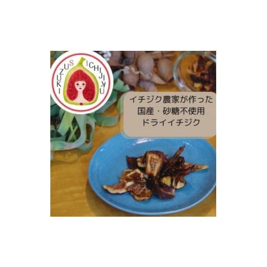 ふるさと納税 乾物 愛知県 安城市 愛知県産 ドライイチジク 1671575