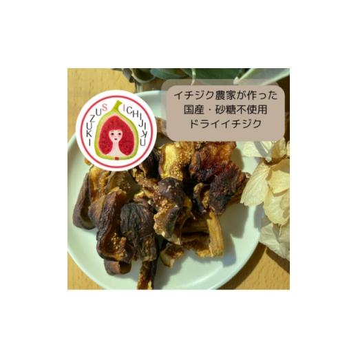 ふるさと納税 乾物 愛知県 安城市 愛知県産　ドライイチジク 1671575_1