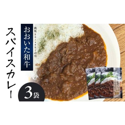 ふるさと納税 加工品等 レトルト 大分県 大分市 おおいた和牛 スパイスカレー 3袋 レトルト レンジ レンチン 湯煎 食事 おおいた和牛 国産 スパイシー 牛肉 牛…