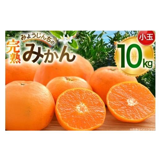 ふるさと納税 果物類 みかん 長崎県 東彼杵町 みかん 小玉 10kg みょうじんちの完熟みかん 限定50箱 カンキツ産直「明時家」 長崎県 東彼杵町 hs42bag790000 …