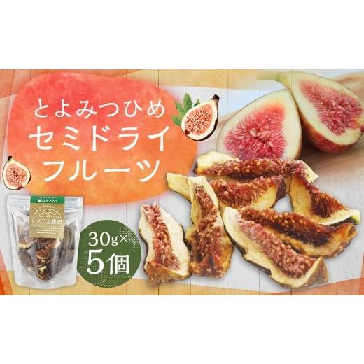 ふるさと納税 いちじく 福岡県 嘉麻市 福岡ブランド とよみつひめ セミドライフルーツ5個セット いちじく 無花果 イチジク フルーツ スイーツ 果物 くだもの