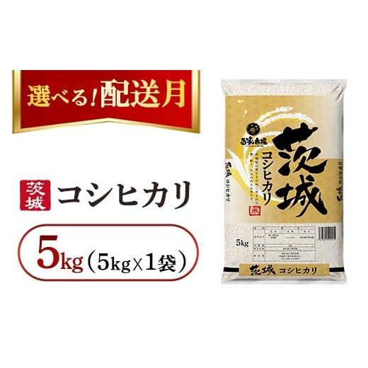 ふるさと納税 米 コシヒカリ 茨城県 守谷市 発送月が選べる 令和7年産 こしひかり 5kg(5kg×1袋) 2026年1月発送 | お米・コシヒカリ・精米 2026年1月発送