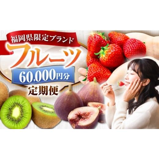 ふるさと納税 いちご 福岡県 豊前市 全4回定期便 フルーツ定期便 6万円コース(あまおう2種&いちじく&キウイ) [豊前市] 豊前市定期便