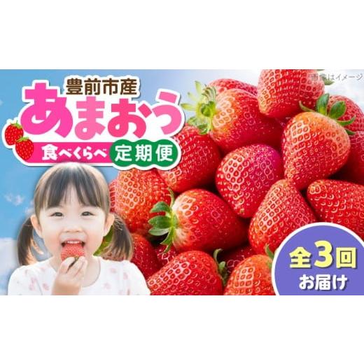 ふるさと納税 いちご 福岡県 豊前市 全3回定期便 あまおう3種食べ比べ返礼品 5万円コース [豊前市] 豊前市定期便