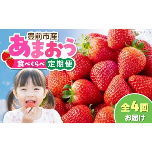 ふるさと納税 いちご 福岡県 豊前市 全4回定期便 あまおう4種食べ比べ返礼品 6万円コース [豊前市] 豊前市定期便