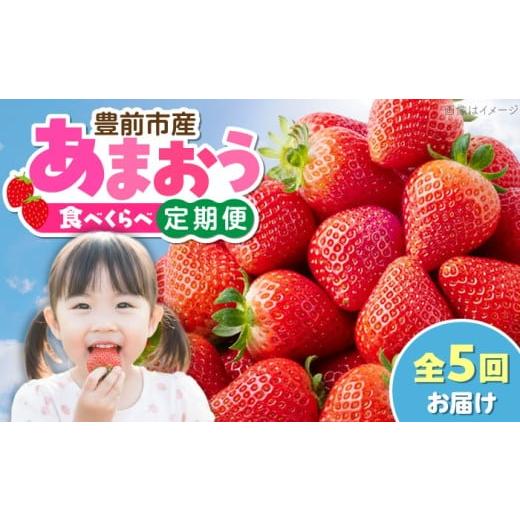 ふるさと納税 いちご 福岡県 豊前市 全5回定期便 あまおう5種食べ比べ返礼品 7万円コース(ジェラート付き)[豊前市] 豊前市定期便