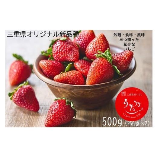 ふるさと納税 いちご 三重県 多気町 三重県オリジナルいちご新品種 希少な「うた乃」 500g(250g×2) YMS-01 いちご イチゴ 苺 希少 品種 酸味 …