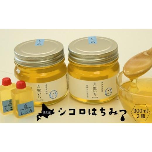 ふるさと納税 加工品等 はちみつ 北海道 幌延町 幌延産シコロはちみつ 300ml×2瓶